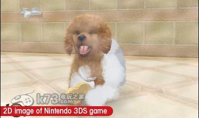 图片[1]-3DS 任天猫狗 玩具贵宾犬与新伙伴 欧版下载-美淘游戏