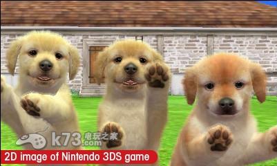 图片[3]-3DS 任天猫狗黄金猎犬与新伙伴 美版下载-美淘游戏