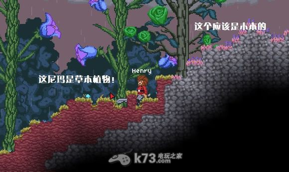 星界邊境Starbound作物與植物分析