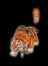 轩辕剑5云之遥流程攻略【含全支线任务】