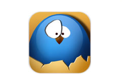 鸟在囧途游戏评测