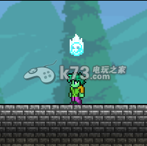 泰拉瑞亚terraria类似宠物的照明道具