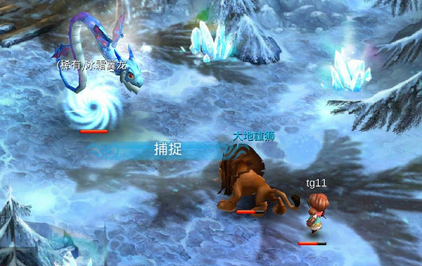 寒灵之剑宠物获得方法