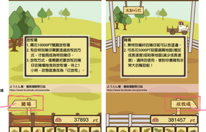 养猪场各星级小猪喂食技巧