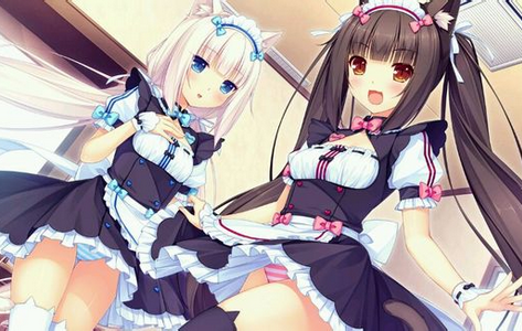 nekopara vol1配置与安装教程