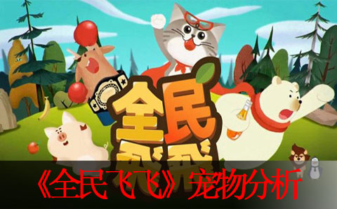 全民飞飞实用宠物效果分析