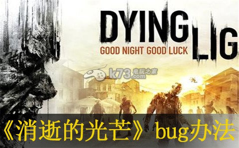 消逝的光芒ResizeBuffers failed bug解決辦法