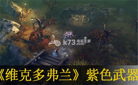 維克多弗蘭紫色武器分享