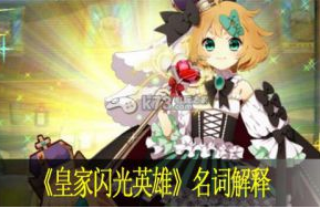 皇家闪光英雄名词解释