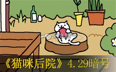 貓咪后院4月29日暗號一覽