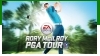 罗里麦克罗伊职业高尔夫巡回赛成就列表