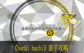 hachi hachi新手攻略