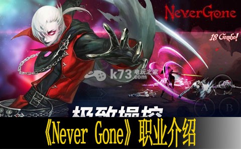 Never Gone職業(yè)介紹