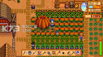 星露谷物語stardew valley蘑菇種植解析