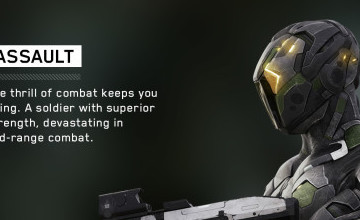 father.io新手问题汇总