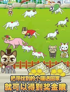 寻找迷路的小猫实用心得分享