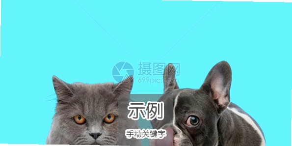任天猫狗法国斗牛犬与新伙伴相处攻略