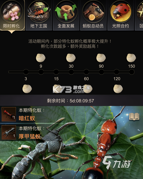 蚂蚁放置攻略新手入门技巧大全 蚂蚁放置攻略新手入门技巧大全