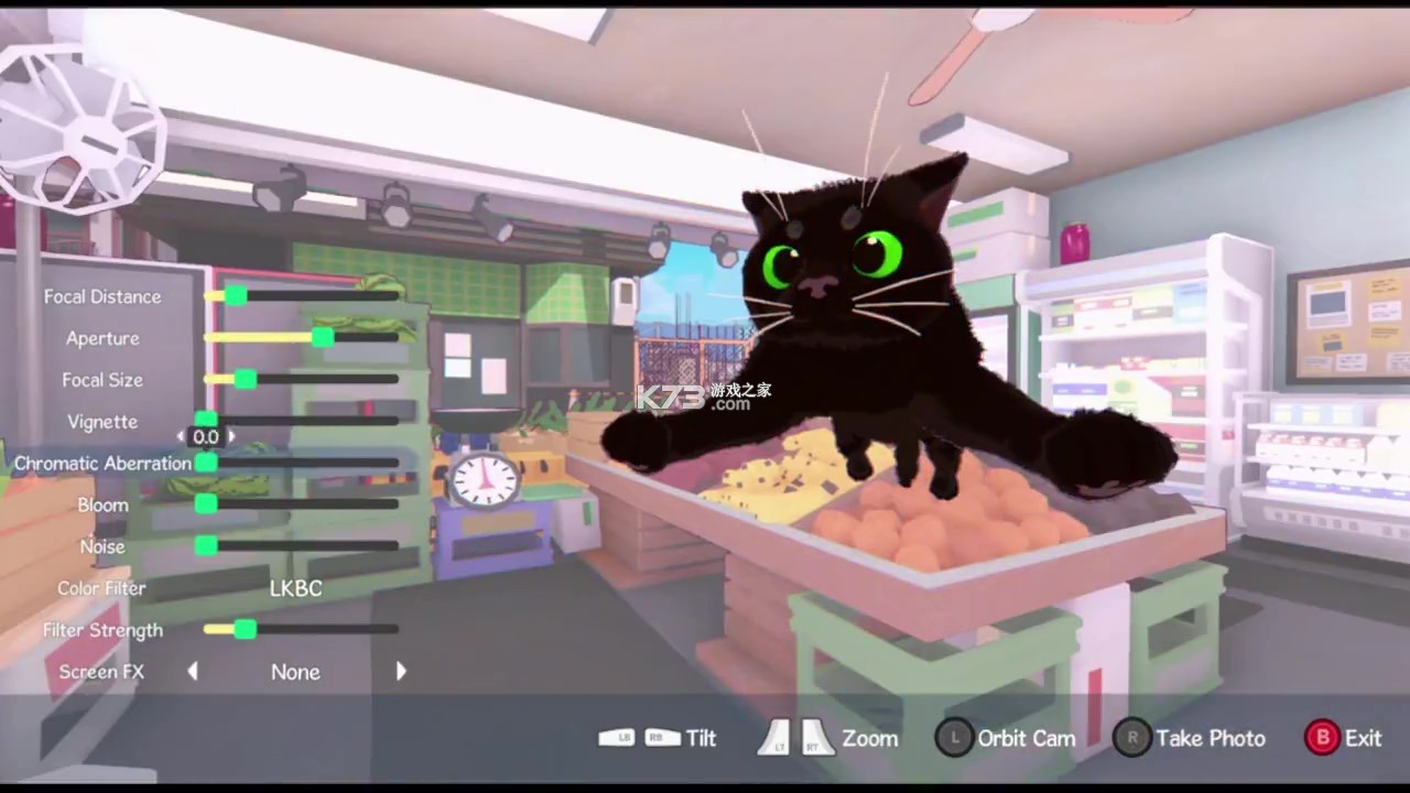 不可思议之国的小猫攻略大全
