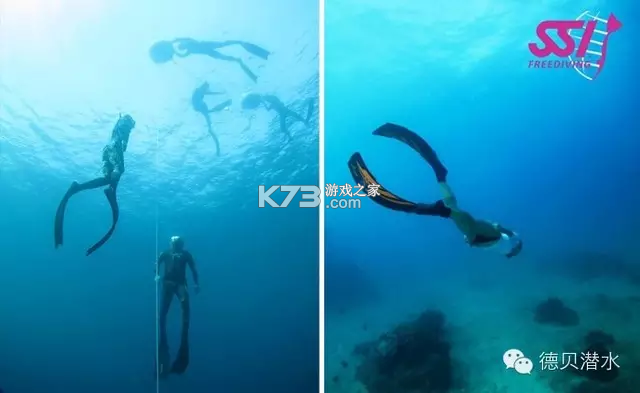 自由潜水入门教程新手必看技巧