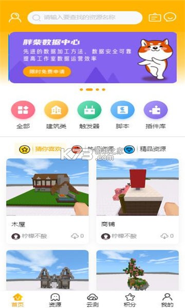 胖柴犬怎么养新手攻略大全