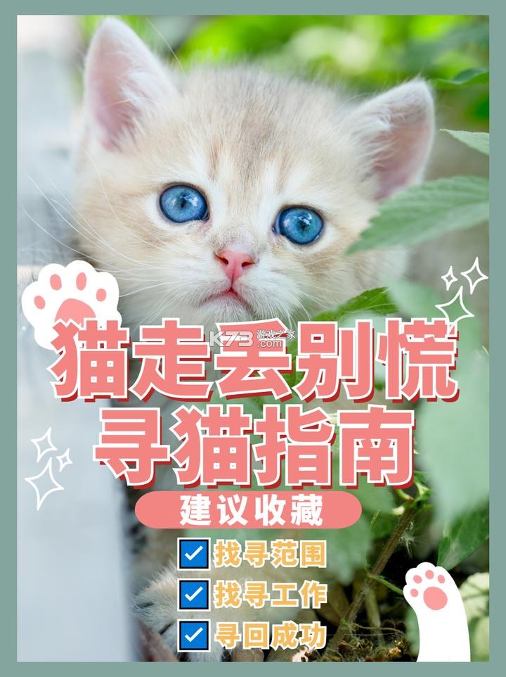 猫咪走丢找回方法经验分享 猫咪走丢找回方法经验分享