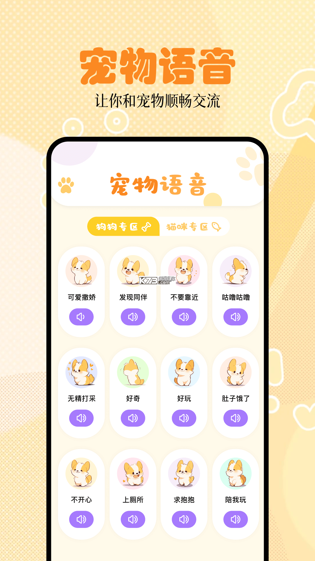 猫咪请就位新手养猫必看攻略