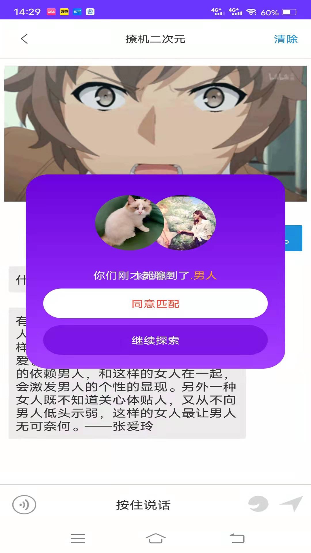 撩不起运动猫的日常训练技巧