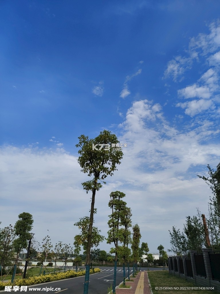 天空过马路拍照技巧与安全注意事项 天空过马路拍照技巧与安全注意事项