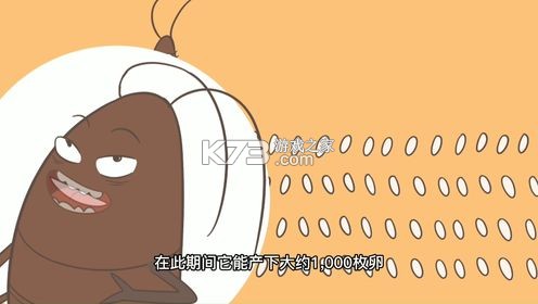 打爆小强最有效的方法家用攻略