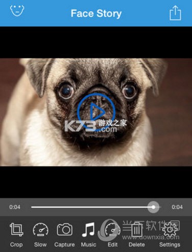 Zooface攻略技巧玩法详解与实战心得