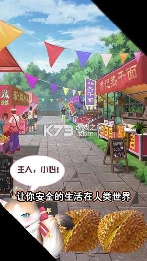 我的灵宠是只猫新手养猫攻略