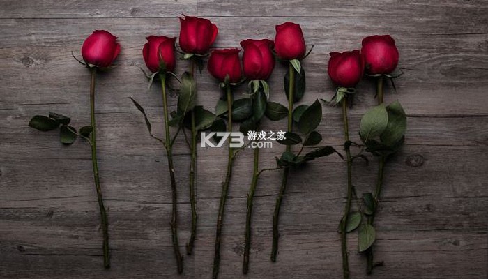 白色情人节回礼送什么礼物好 白色情人节回礼送什么礼物好