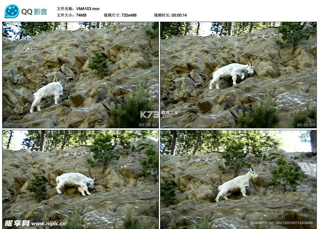 永远的山羊游戏通关攻略技巧