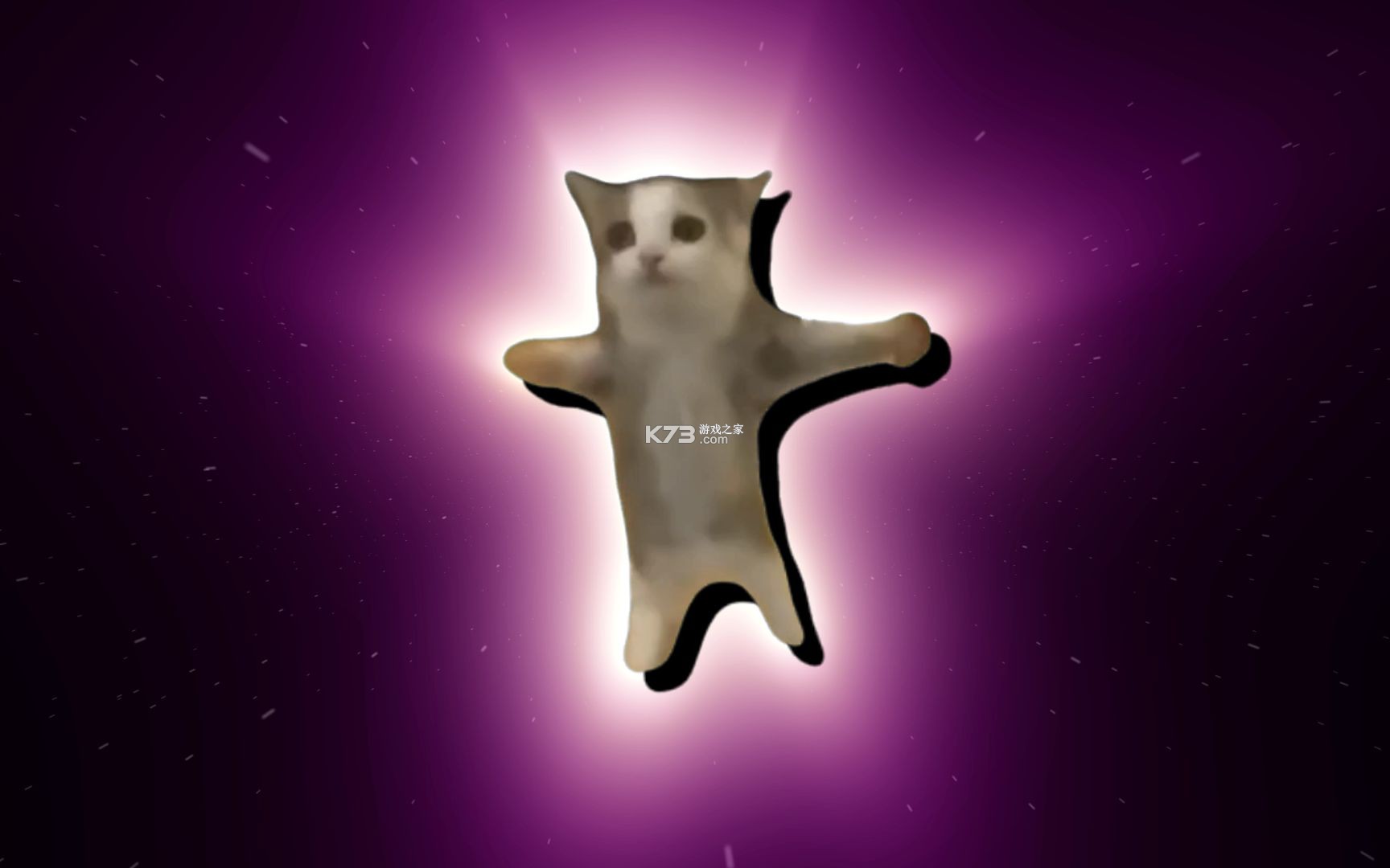 世界上最鬼畜的猫搞笑名场面合集