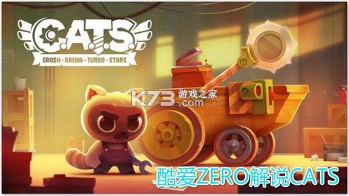猫咪行为解读与科学养护攻略