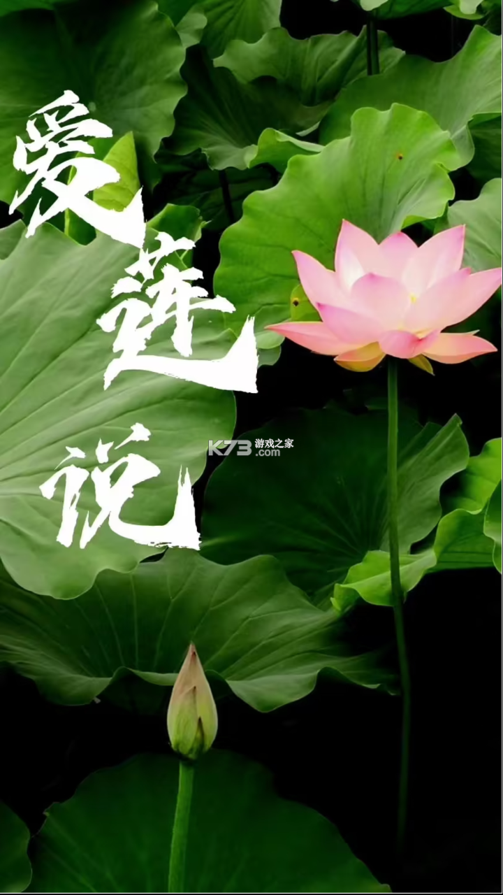 爱莲说原文翻译及赏析解读