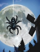 蜘蛛月亮笼罩的仪式