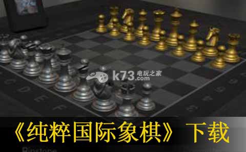 纯粹国际象棋3ds下载