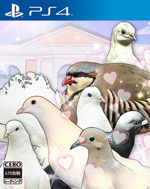 鸽子男友日版预约 