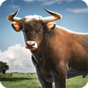 3D模拟公牛 v1.3 安卓版apk下载