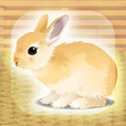 治愈系兔子养成游戏 v1.2 下载