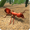 模拟火蚁
