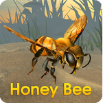 蜜蜂模拟器 v1.0 安卓中文版下载