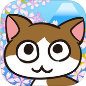 猫咪占卜 v1.0.0 安卓版下载