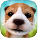 模拟狗狗 v2.2.3 安卓手机版下载