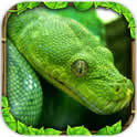 究极眼镜蛇模拟 v1.2 安卓手机版下载