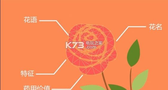 下载识花软件应用_拍照识物软件app_微软识花app