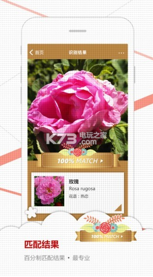 微软识花正式版下载v1.0 微软识花公测下载 _k