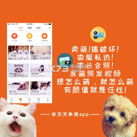 天天争宠 v1.1.5 app下载 截图